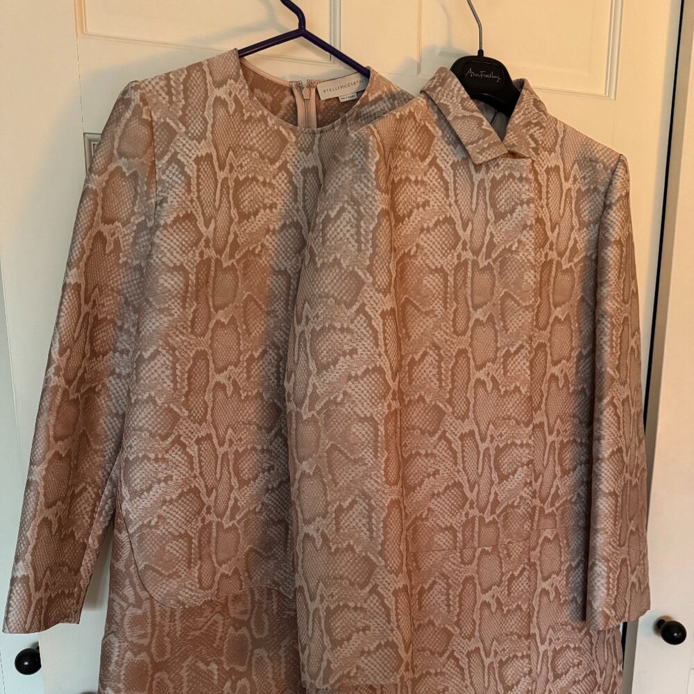 Stella McCartney Animal Print Mini Dress and Coat